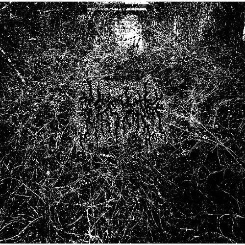 Arid - Harvesting the Toil of Flesh Beyond the Entombment of the Extinction That it Bore - Japan CD