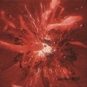 Ivy To Fraudulent Game - inside = RED - Japan 2 CD Limited Edition