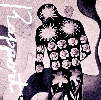 Takahashi Yusei - Rapport - Japan CD