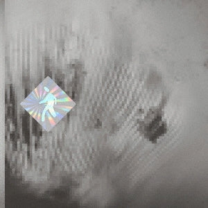 Discovery Zone - Quantum Web - Japan CD