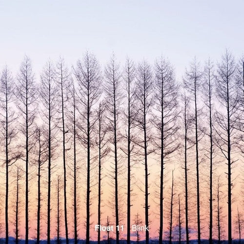 Float 11 - Blink - Japan CD