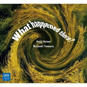 Keiji Haino,Natsuki Tamura - What happened there? - Japan CD
