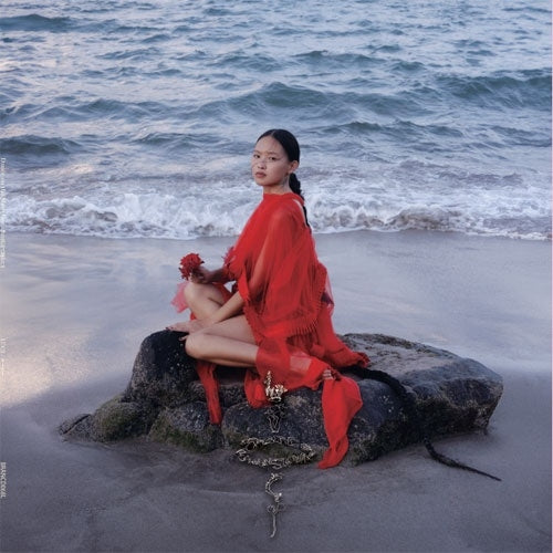 Lucy (Taiwan) - When Dancing On The Dream Beach - Japan Vinyl LP Record