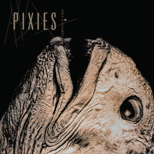 The Pixies - Complete B Sides: 1988-97 - Import 2 CD