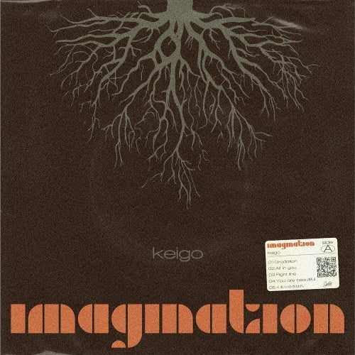 Keigo - Imagination/Creation - Japan Vinyl LP Record