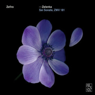 Ensemble Zefiro - Zelenka (1679-1745) Trio Sonatas Zwv, 181, : Zefiro - Import 2 CD