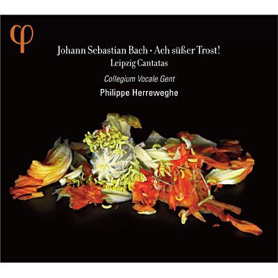 Philip Herreweghe, Collegium Vocale Gent - Bach (1685-1750) Cantatas Nos.25, 46, 105, 138 : Herreweghe / Collegium Vocale Gent, Blazikova, Guillon, Hobbs, Kooij - Import CD