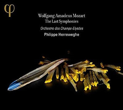 Philip Herreweghe, Orchestre de Champs-Élysées - Mozart (1756-1791) Symphonies Nos.39, 40, 41 : Herreweghe / Champs Elysees Orchestra (2Cd) - Import 2 CD