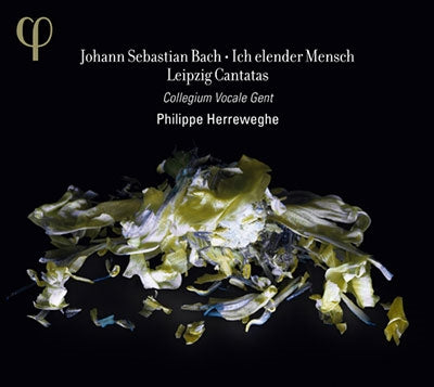 Philip Herreweghe, Collegium Vocale Gent - Bach (1685-1750) Cantatas Nos.44, 48, 73, 109 : Herreweghe / Collegium Vocale Gent, Mields, Guillon, Hobbs, Kooij - Import CD