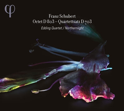 Edding Quartet, Northern Light - Schubert (1797-1828) Octet, String Quartet No.12 : Edding Quartet, Northernlight - Import CD