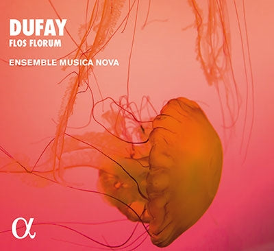 Musica Nova Ensemble - Dufay: "Flowers In Flowers" - Import CD