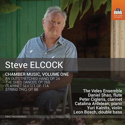 Veles Ensemble - Elcock: Chamber Works Vol.1 - Import CD