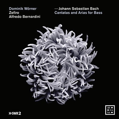 Dominik Worner - J.S. Bach: Church Cantata Collection for Bass Singing and Oboe [Japanese Instruction Included] - Import CD