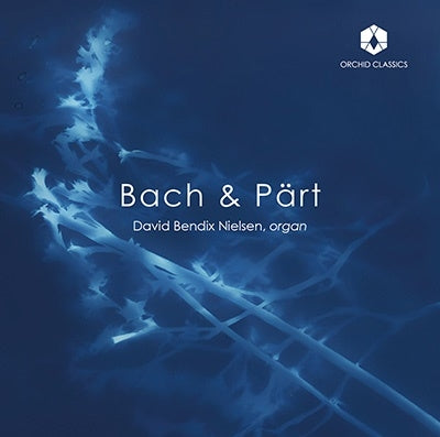 Davy Henderson Nielsen - Bach and Pelt - Organ Works - Import CD