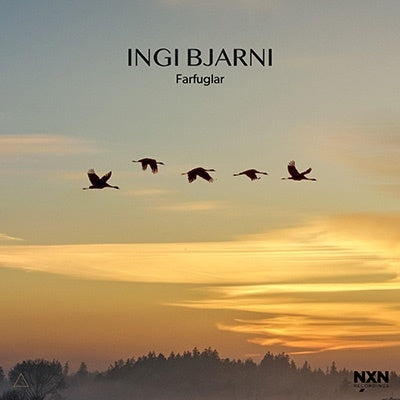 Ingi Bjarni - Farfuglar - Import CD