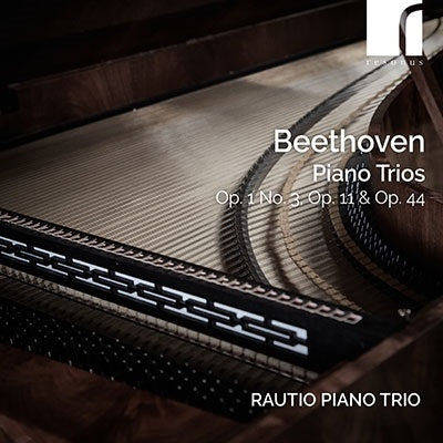 Rautio Piano Trio - Beethoven:Piano Trio No.3&4 / Variations Op.44 - Import CD
