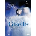 Ballet & Dances Classical - Giselle(Adam): Smirnova Tissi Potskhishvili Eimers Dutch National Ballet - Japan DVD