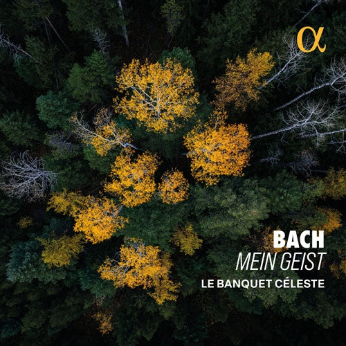 Le Banquet Celeste - Bach, Johann Sebastian ：Mein Geist -Cantatas Nos.85, 115, Cello Suite No.6 : Julien Barre(Vc)Alexander Chance(CT), etc. - Import CD