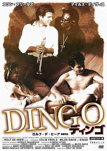 Drama - Dingo - Japan Dingo DVD Limited Edition