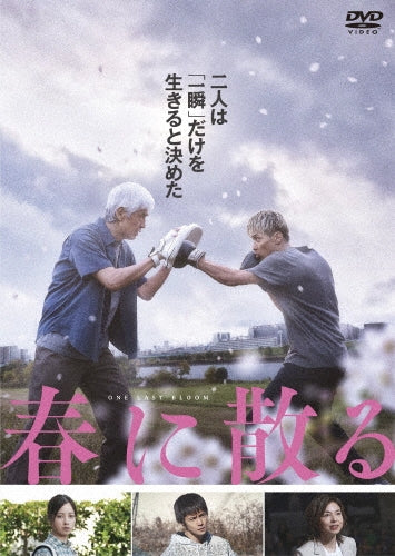 Japanese Movie-Haru ni Chiru Standard Edition-Japan DVD