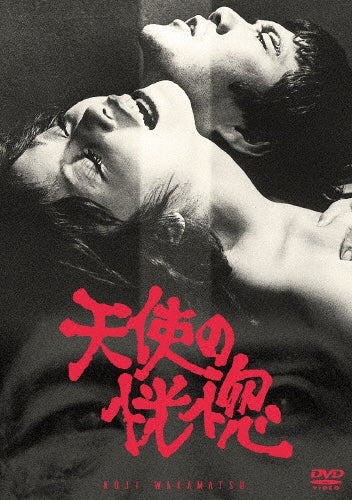Japanese Movie-Tenshi no Kokotsu-Japan DVD