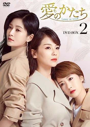 TV Series - Ai no Katachi - Love is true - (Japanese title) DVD Box 2 - Japan 10 DVD Disc Box Set