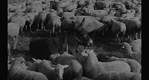 Movie - Au Hasard Balthazar / Mouchette - Japan 2 DVDLimited Edition