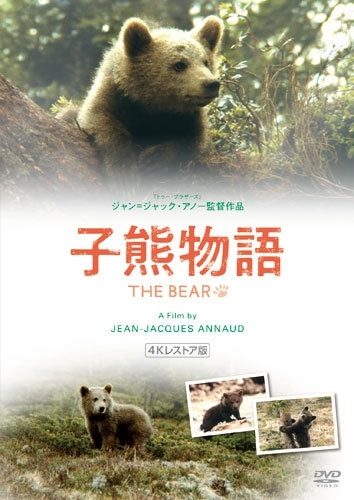 Movie - The Bear - Japan DVD