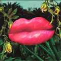 HiM (Post Rock) - N - Japan CD