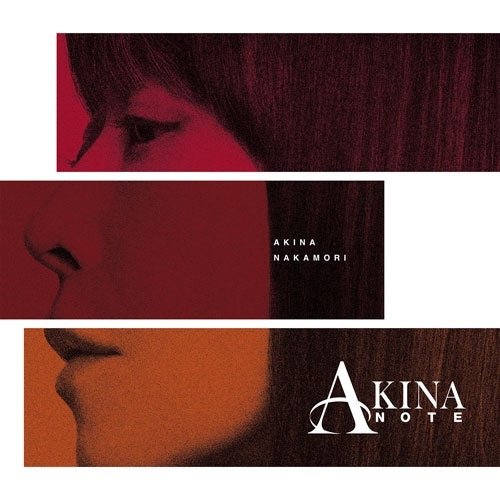 Akina Nakamori - AKINA NOTE - Japan 2 LP Recurd Limited Edition