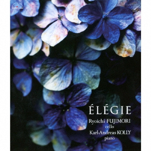 Ryoichi Fujimori - Elegie - Japan CD