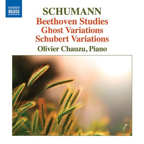 Schumann, Robert (1810-1856) - Beethoven Variations, Schubert Variations, etc : Chauzu(P) - Import CD