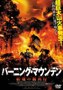 Peter Facinelli - On Fire - Japan DVD