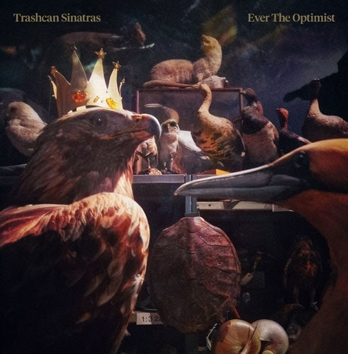 Trashcan Sinatras - Ever The Optimist - Japan CD Bonus Track