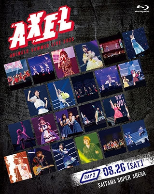 animelo summer live DVD Blu-ray セット Various Artists - Animelo Summer Live 2023 -AXEL- DAY2 - Japan 2