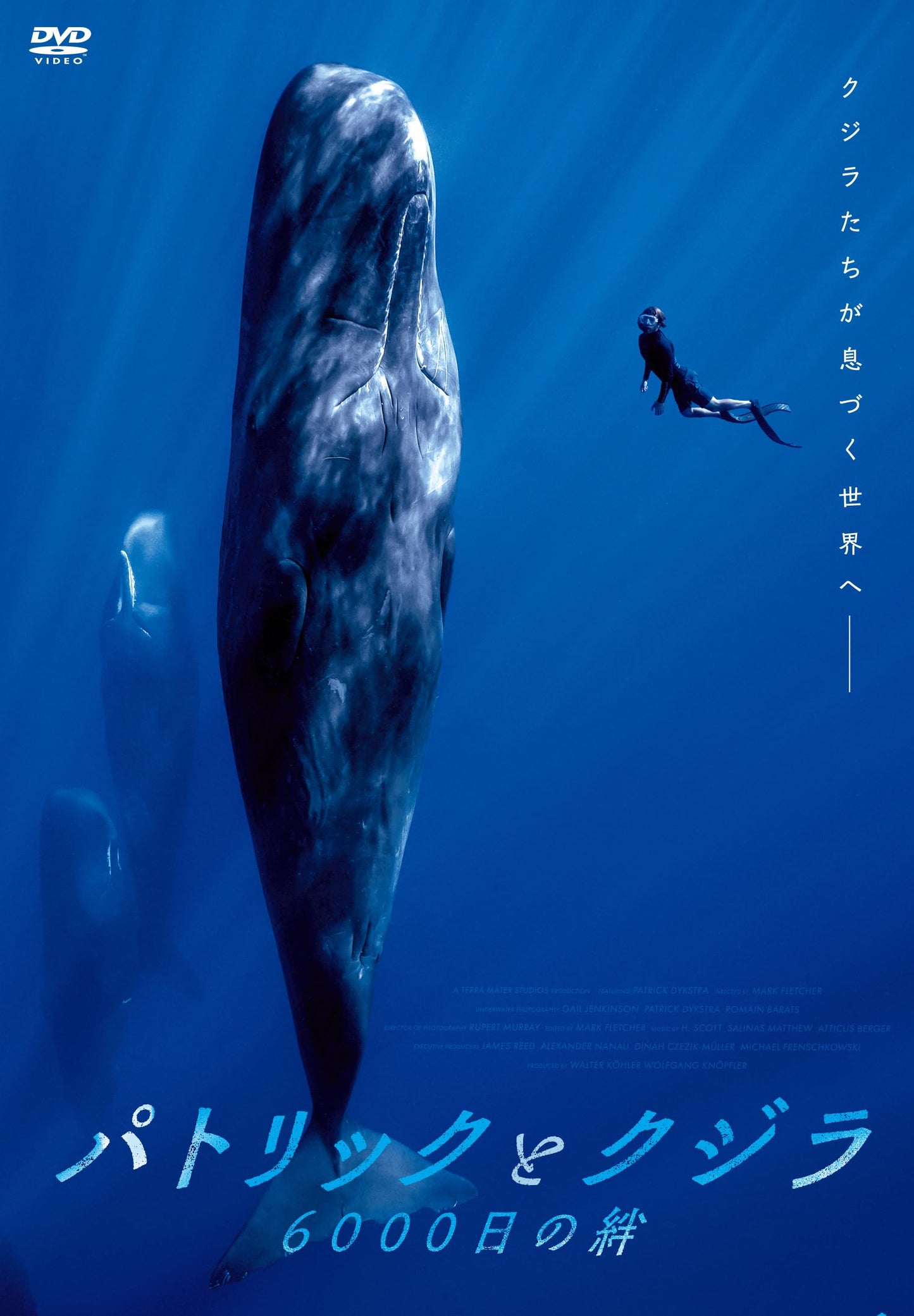 Movie - Patrick and the Whale - Japan DVD