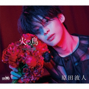 Namito Harada - Hi No Tori/Kaze - Japan CD single