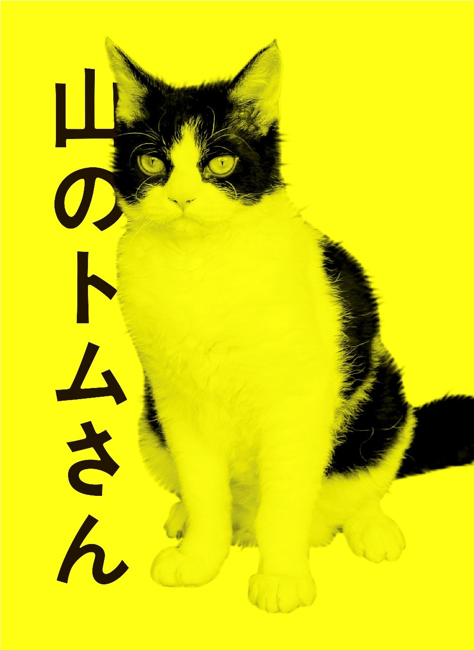 Japanese TV Series-Yama no Tom San-Japan 2DVD+CD Box Set