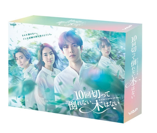 Japanese TV Series - 10 Kai Kitte Taorenai Ki Ha Nai Blu-Ray Box - Japan 4 Blu-ray Disc Box Set