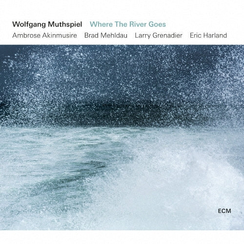 Wolfgang Muthspiel - Where The River Goes - Japan UHQCD