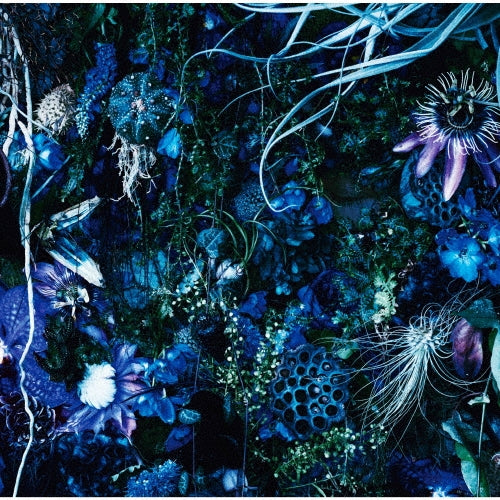 Sugizo - ONENESS M - Japan 180g Vinyl 2 LP Recurd Limited Edition