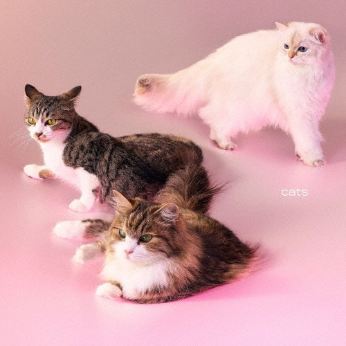My Hair is Bad - cats - Japan Mini LP CD + Photobook Limited Edition