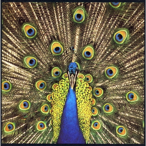 The Bluetones - Expecting to Fly - Japan SHM-CD Bonus Track