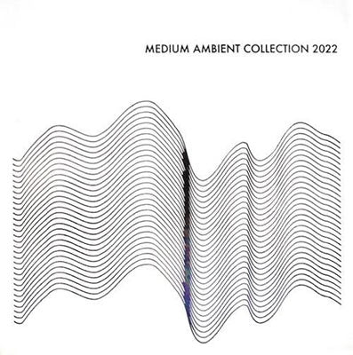 Various Artists - MEDIUM AMBIENT COLLECTION 2022 WHITE - Japan LP Record Limited Edition
