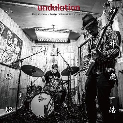 Yasuhiro Usui - Undulation - Japan Vinyl LP Record