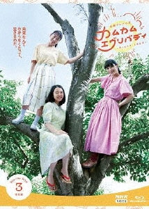 Japanese TV Series-Renzoku TV Shosetsu Come Come Everybody Complete Edition3-Japan 4 Blu-ray Disc Box Set