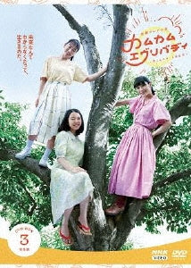 Japanese TV Series-Renzoku TV Shosetsu Come Come Everybody Complete Edition3-Japan 4 DVD Box Set