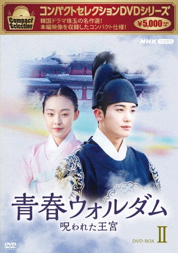 Park Hyung Sik - Compact Selection Our Blooming Youth (Norowareta Okyu) DVD Box 2 - Japan 5 DVD Box Set