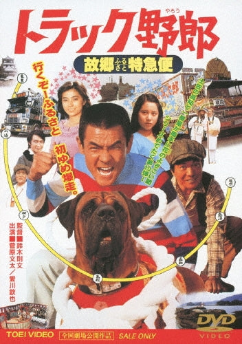 Movie-Cradle 2 The Grave-Japan DVD