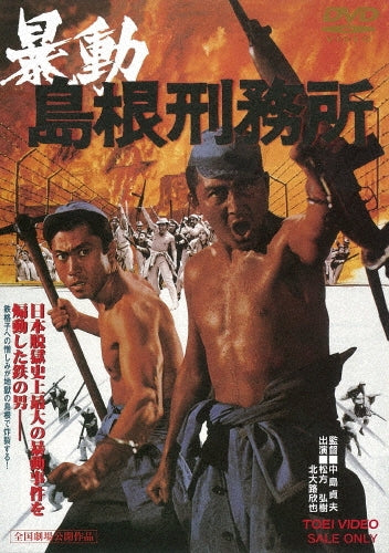 Movie-Initiation Love-Japan DVD